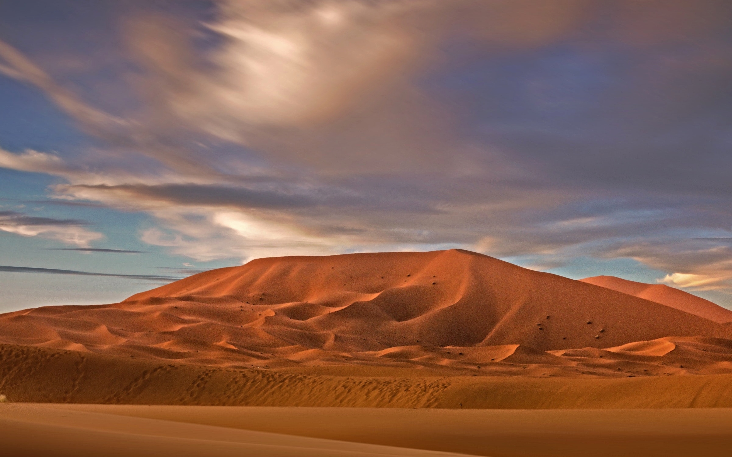 Arid Lands | Arizona Institute for Resilience