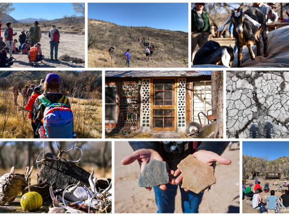 Collage of images from the Liverman Scholars' visit to Cascabel Conservation