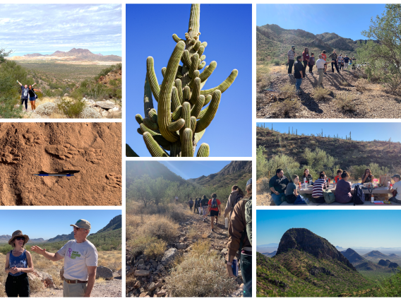 Collage of images from the Liverman Scholars' visit to the Friends of Ironwood National Monument