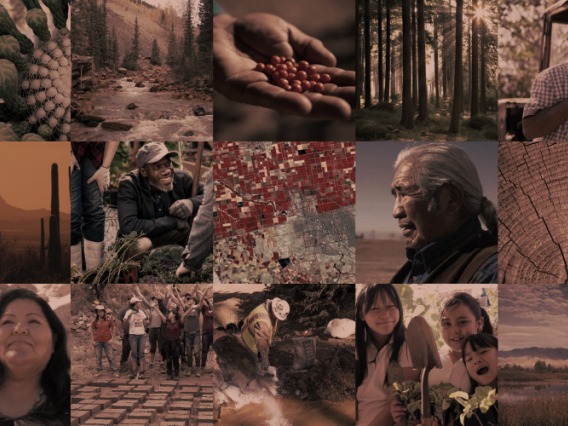 Collage of images featuring Indigenous people, researchers in the field, agriculture, and more