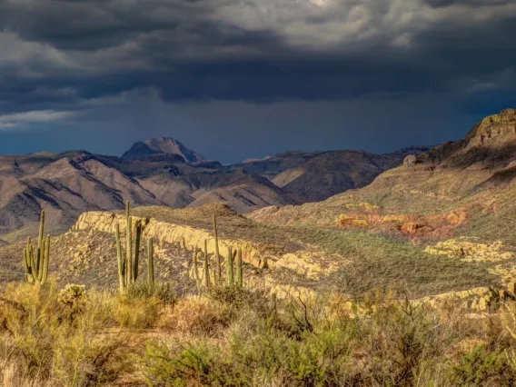 Saguaro cactuses in the foreground with mountains and storm clouds in the background.