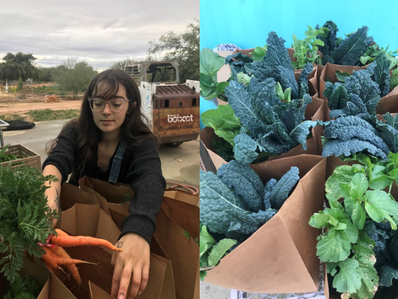 2 images, left image is of Paloma Martinez adding carrots into bags, right image of filled bags ready for distribution.