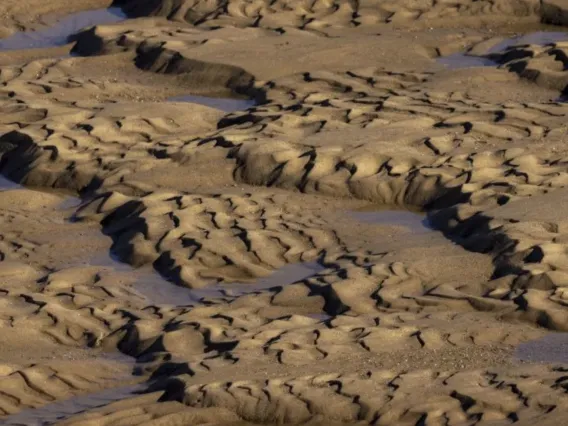 A sandbar.