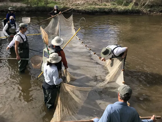 Group of people cleaning river