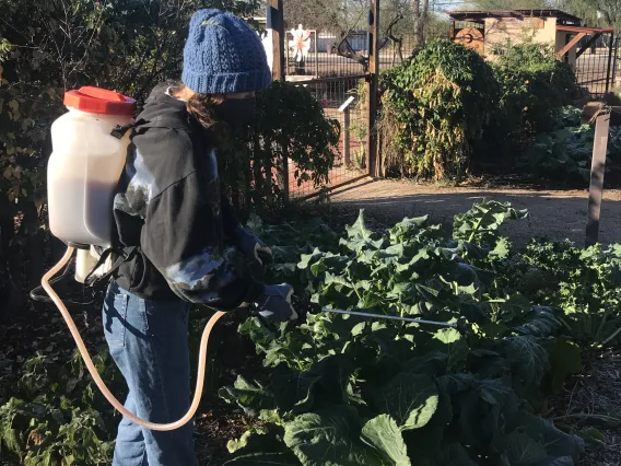 Student at farm