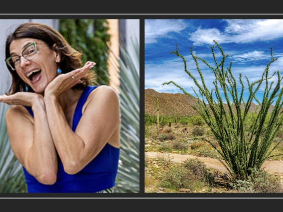 A headshot of Elise Gornish and an ocotillo.