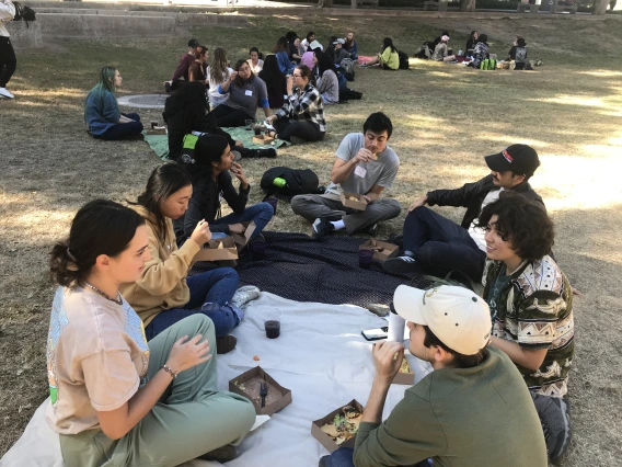 Students sitting together in groups on the ground outdoors.