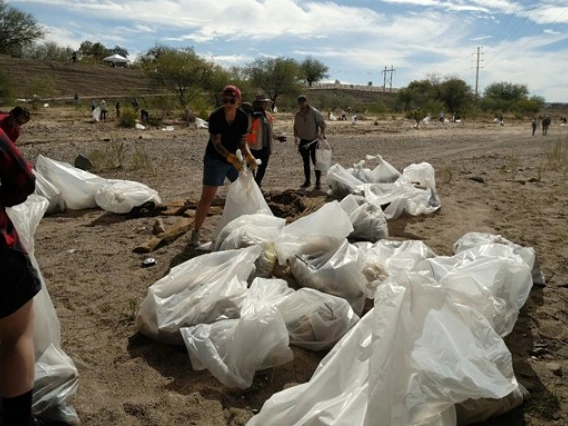 group cleaning up trash