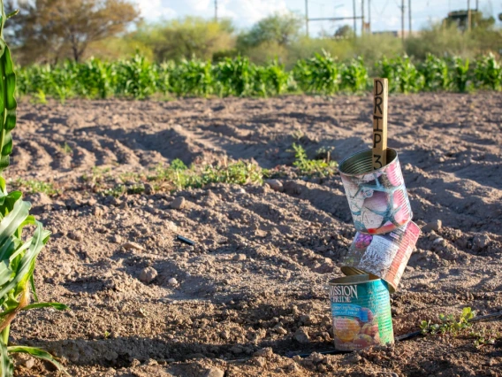 Kotutwa Johnson says gallon metal cans are one of the most practical items people can donate to his agriculture; they protect seedlings in their most vulnerable stage.