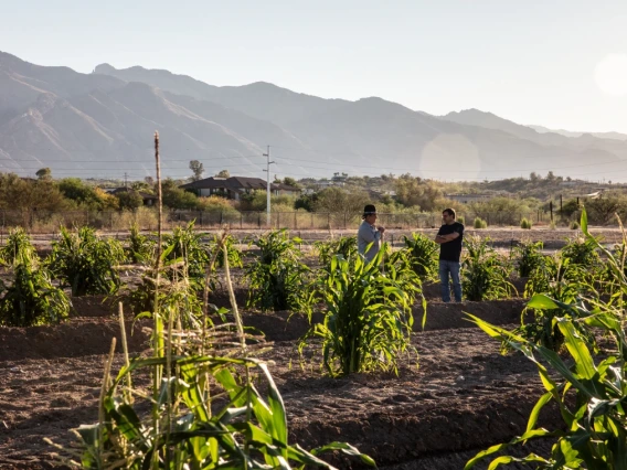 (left) Michael Kotutwa Johnson, Assistant Professor, Cooperative Extension Specialist, Indigenous Resilience, College of Natural Resources & the Environment.