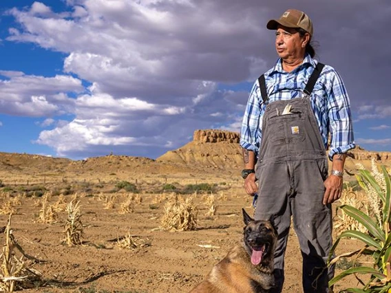 Michael Johnson stands in a cornfield in the desert under a blue sky with scattered grey clouds.