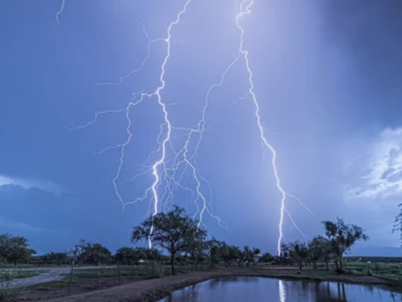 A lightning strike in the evening.