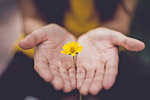 Hands held palms up holding a yellow flower.