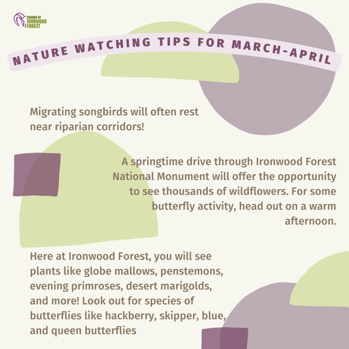 Happy spring nature fun facts for social media post for Friends of Ironwood Forest National Monument