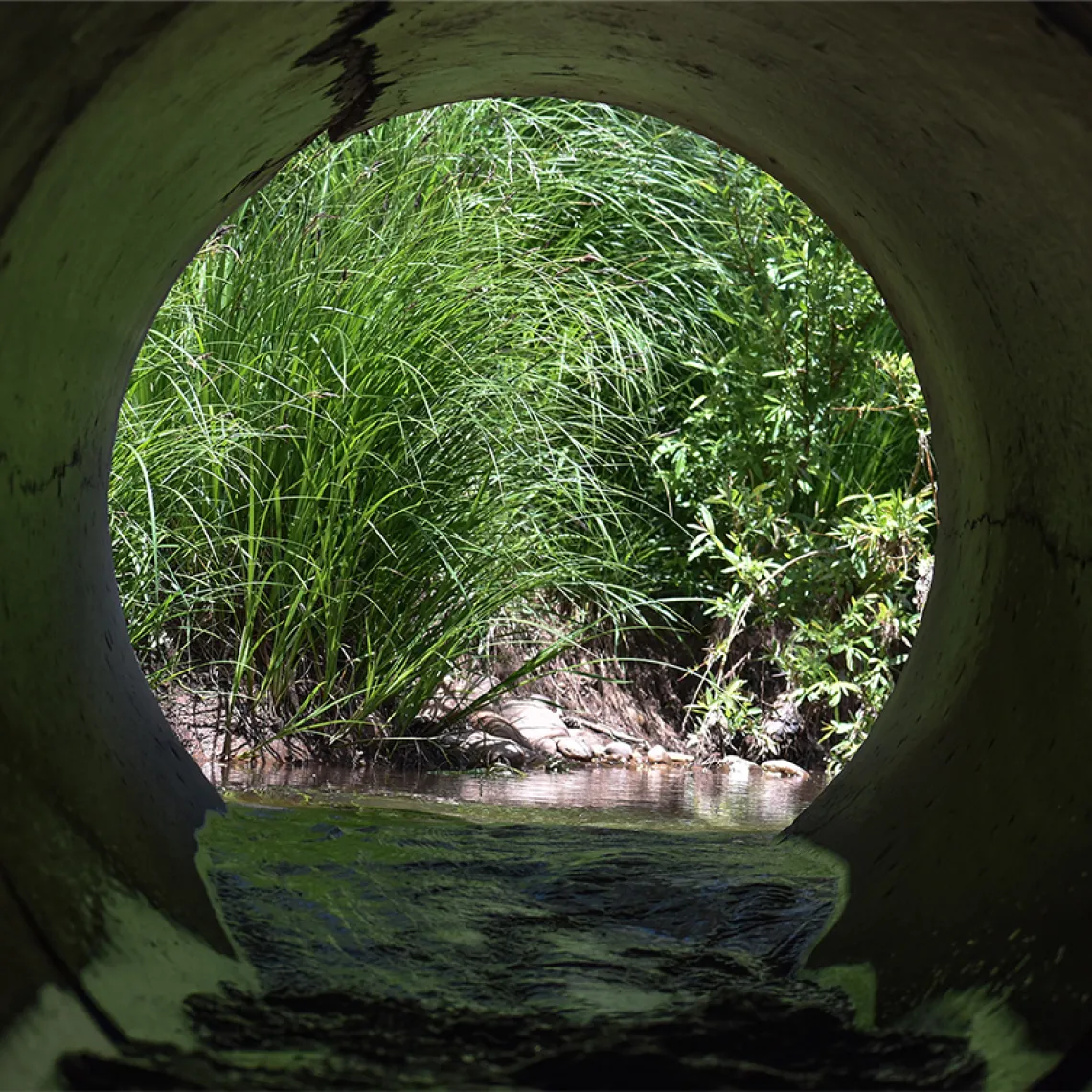 View from a drainage tube in the East Verde River