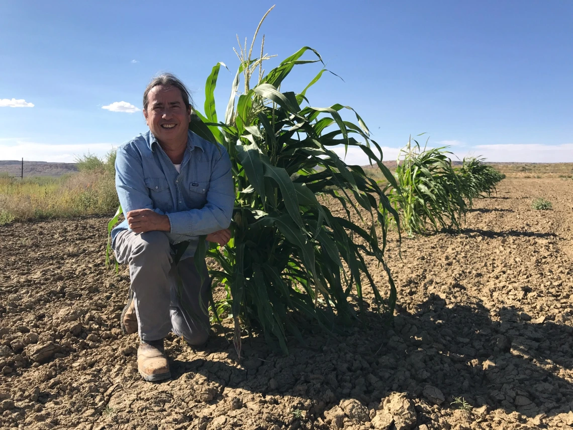 Dr. Johnson kneeling in a corn field.