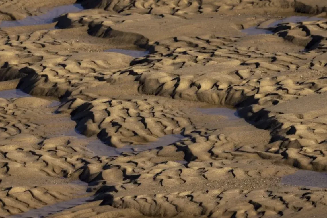 A sandbar.