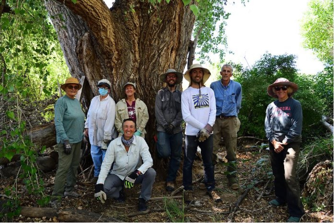 Group of volunteers standing next to a large tree