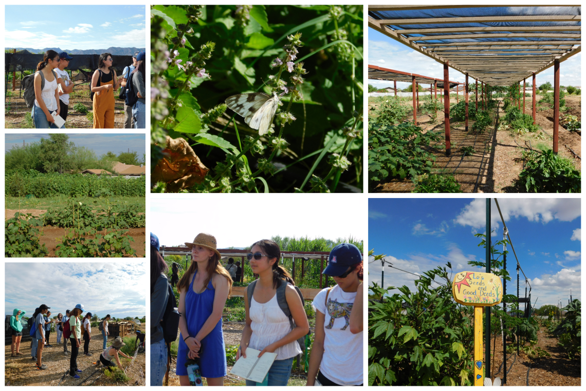 Collage of images from the Liverman Scholars' visit to Project Roots