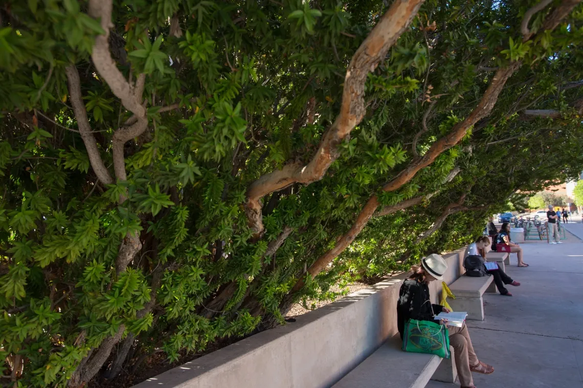 A woman sits on a concrete block beside a walkway beneath a canopy of trees.