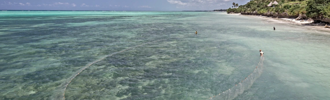 The ocean and a beach in sunlight.