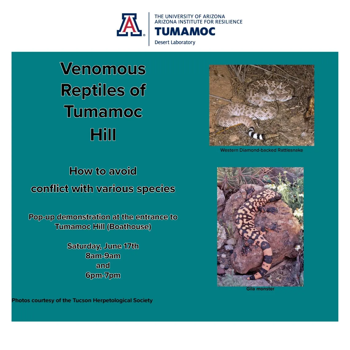 A flier advertising the event with a photo of a rattlesnake.