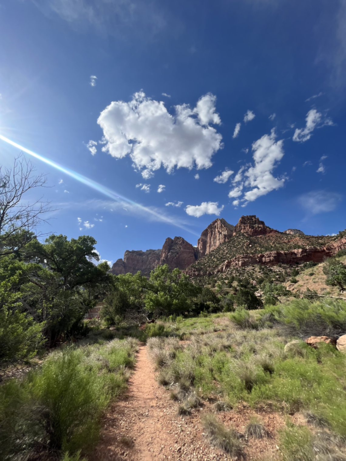 Small clouds in a beautiful blue sky over. a trail path in Zion National Park.