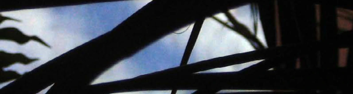 Dark silhouettes like grass against a blue sky.