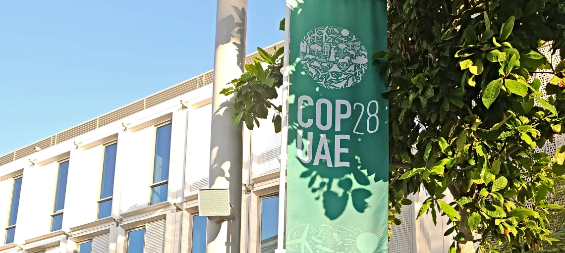 A teal banner hangs from a post by a tree with a white building behind it.