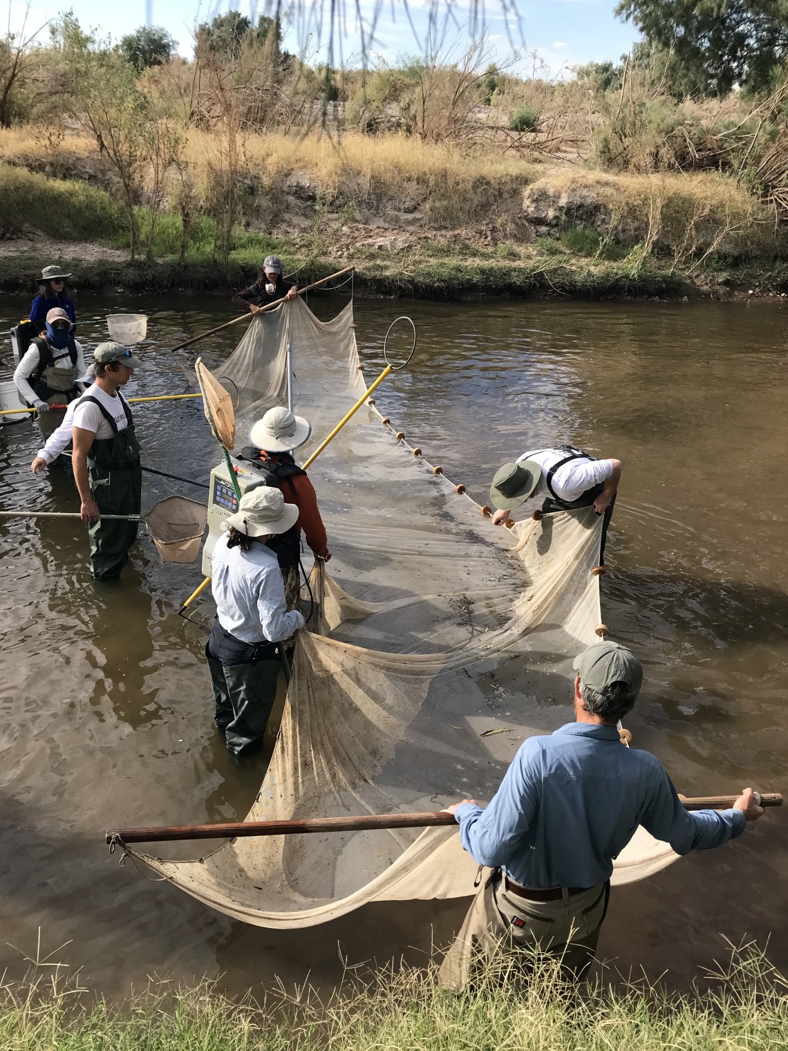 Group of people cleaning river
