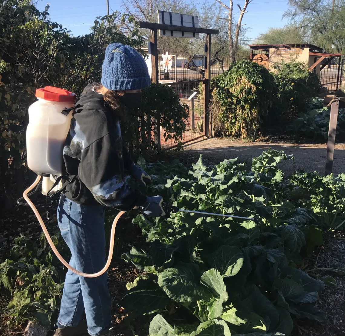 Student at farm