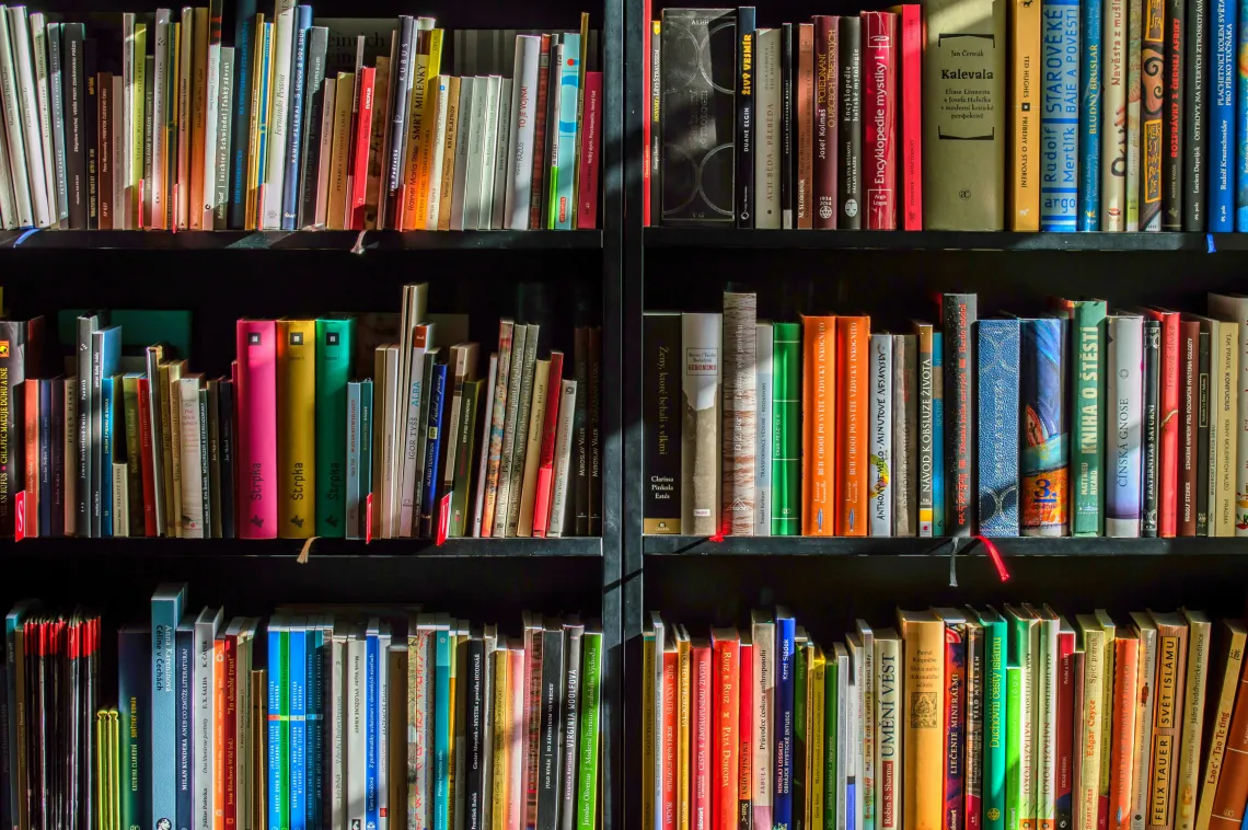 Colorful books on shelves.