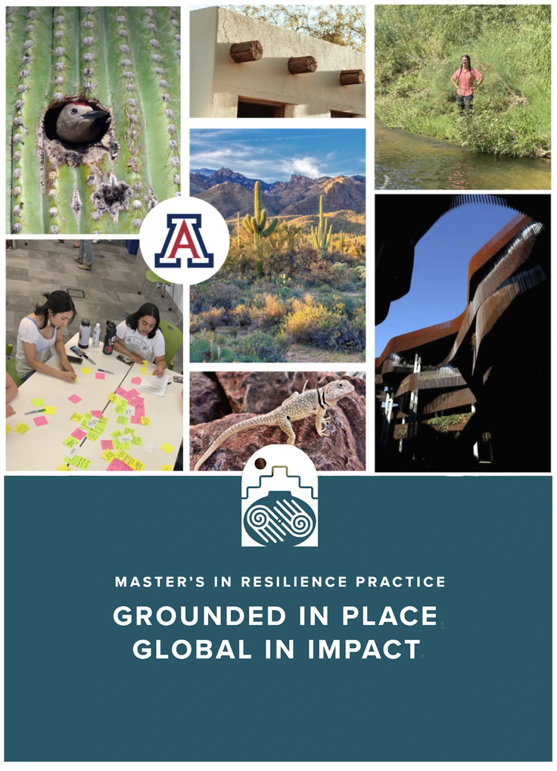 A collage of environmental images with the title and slogan: Master's in Resilience Practice. Grounded in place, global in impact.