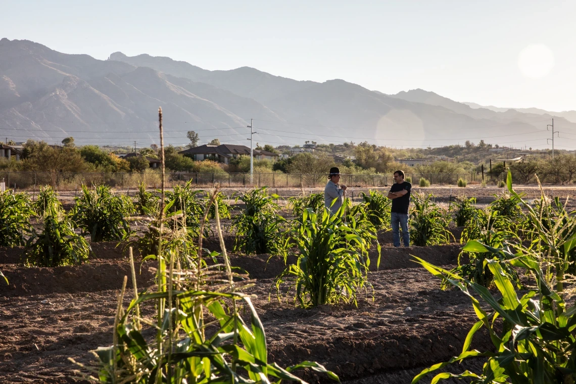(left) Michael Kotutwa Johnson, Assistant Professor, Cooperative Extension Specialist, Indigenous Resilience, College of Natural Resources & the Environment.