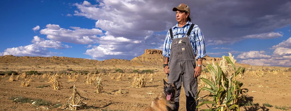 Michael Johnson stands in a cornfield in the desert under a blue sky with scattered grey clouds.