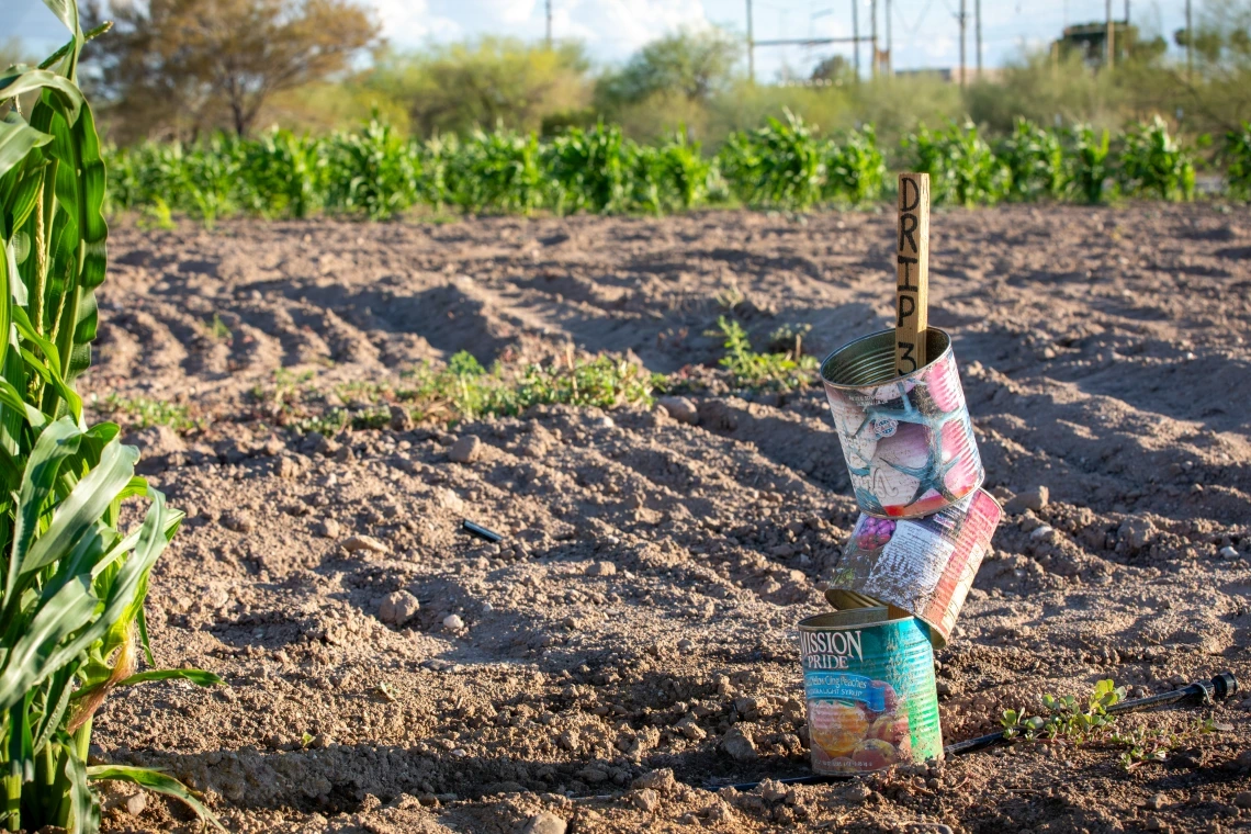 Kotutwa Johnson says gallon metal cans are one of the most practical items people can donate to his agriculture; they protect seedlings in their most vulnerable stage.