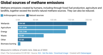 A bar chart indicating global sources of methane emissions.
