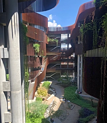 Looking down on the courtyard of a building with concrete columns and iron railings with many plants and ivies.