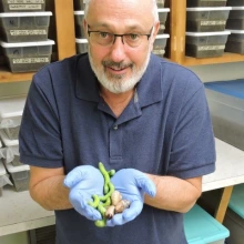 Image of Dr. Davidowitz holding bugs