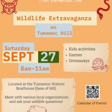Wildlife Extravaganza in Tumamoc Hill Info. Sheet