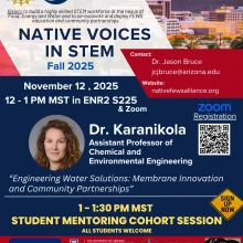 Native Voices in Stem Info