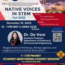 Native Voices in Stem Info