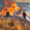 Firefighters approach a grass fire.