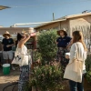 People stand outdoors at a community garden.