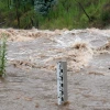A flooding river rages behind a stick showing the water height.
