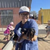 Person wearing hat and holding a goat