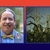 A headshot of Michael Johnson next to an image of corn crops.