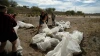 group cleaning up trash